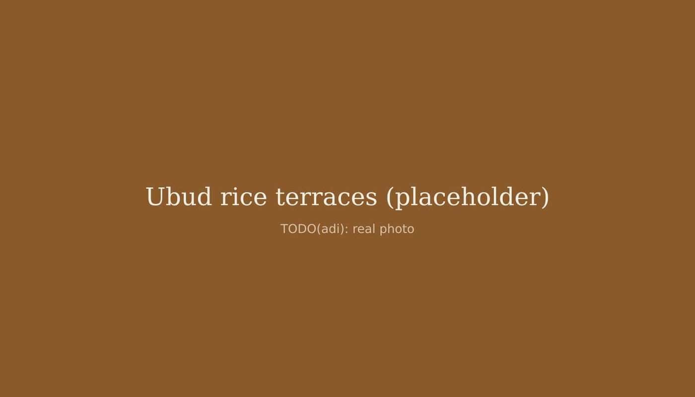 Terraced rice paddies near Ubud in morning light